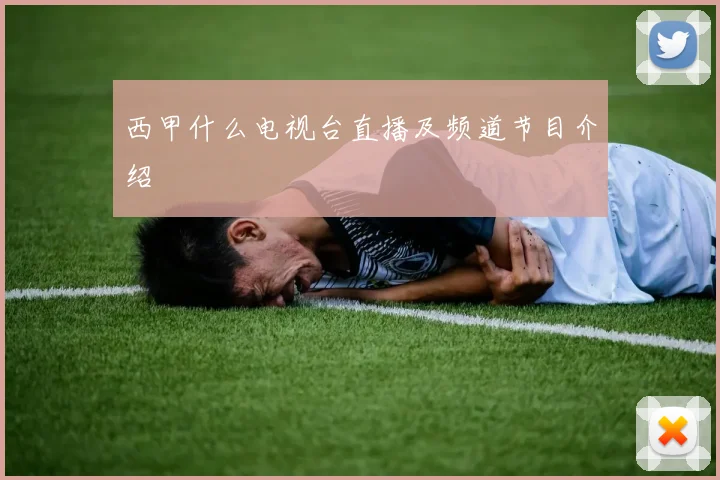 西甲什么电视台直播及频道节目介绍