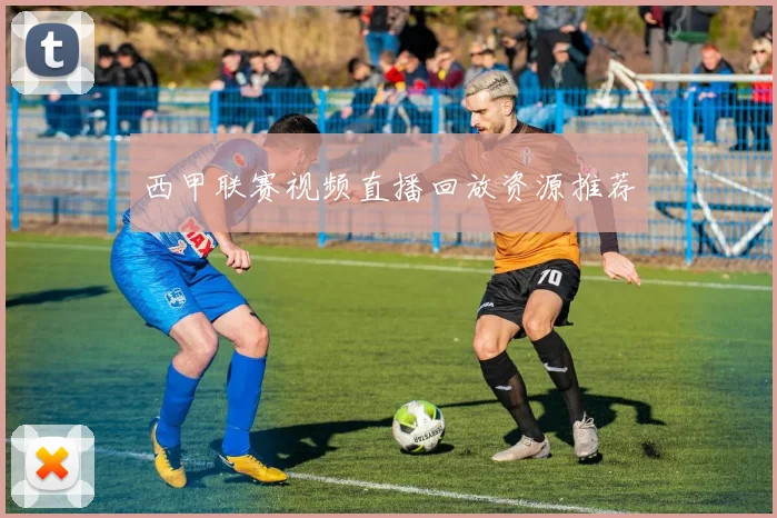 西甲联赛视频直播回放资源推荐