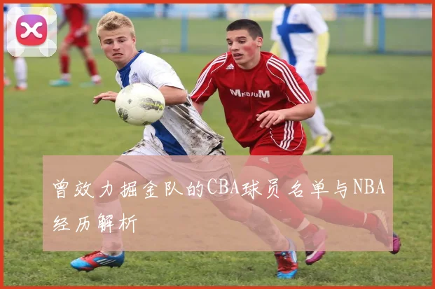 曾效力掘金队的CBA球员名单与NBA经历解析